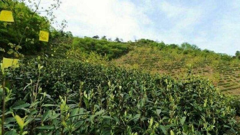 中钢（南京）生态环境技术研究院有限公司